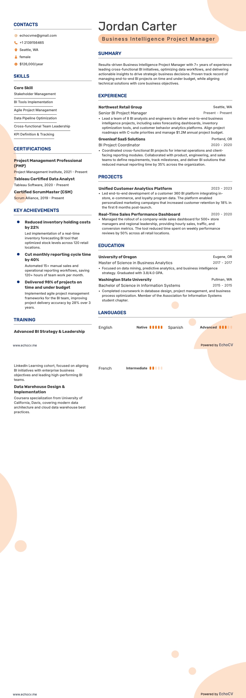 Business Intelligence Project Manager example resume