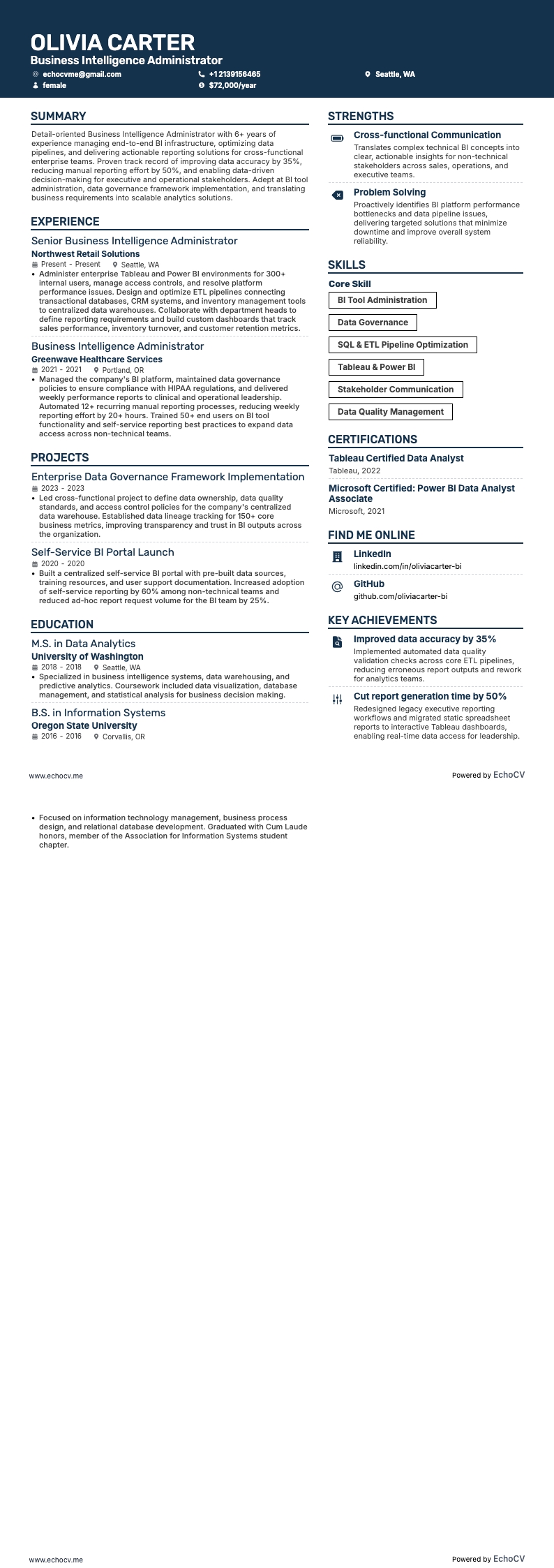 비즈니스 인텔리전스 resume example