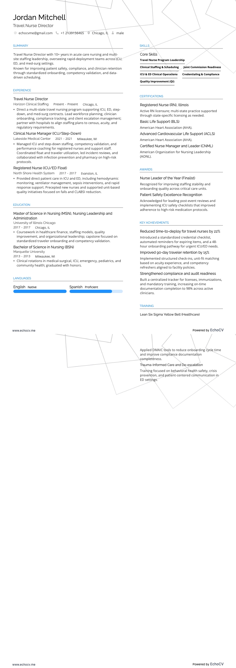 Directeur Reizende Verpleegkunde example resume