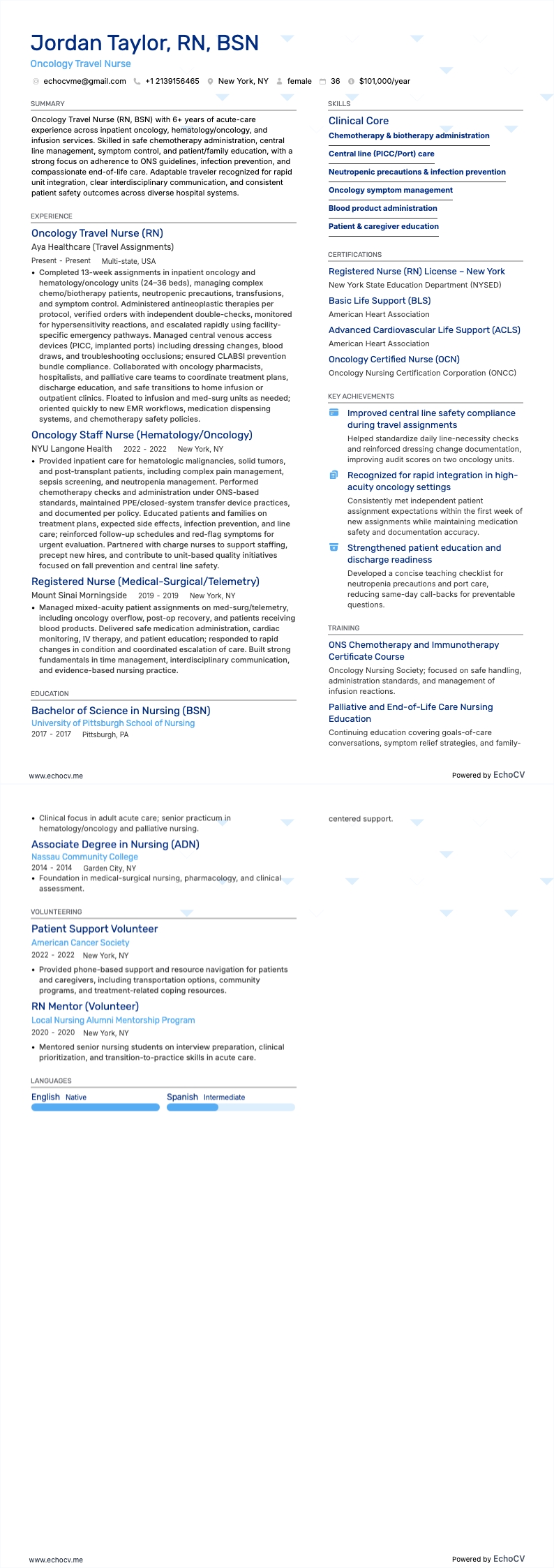 Reisverpleegkundige resume example