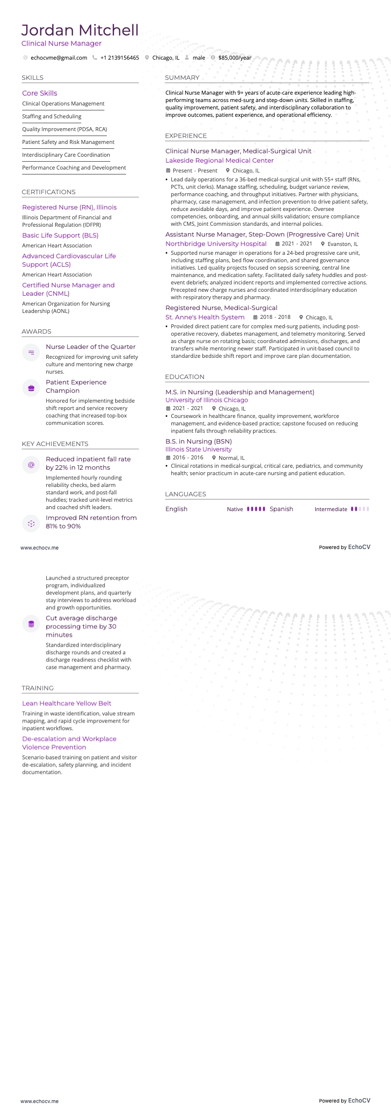 Klinisk sjuksköterskechef example resume