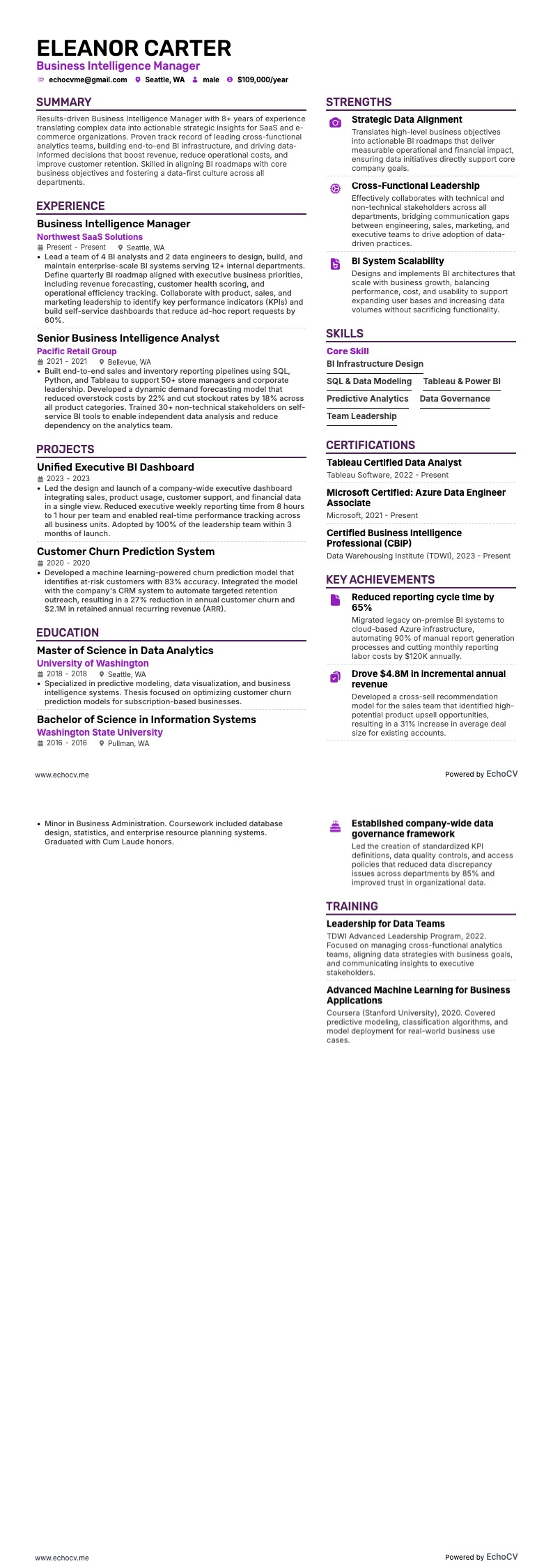 Business Intelligence Manager example resume