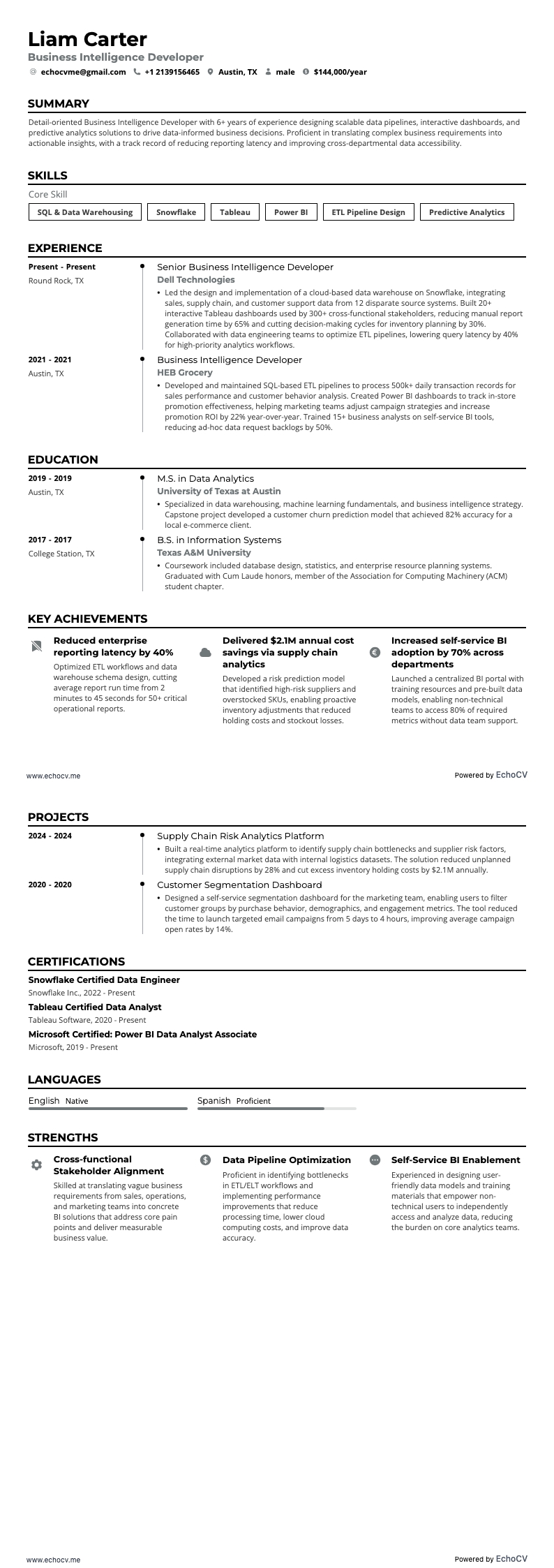 Business Intelligence Developer example resume