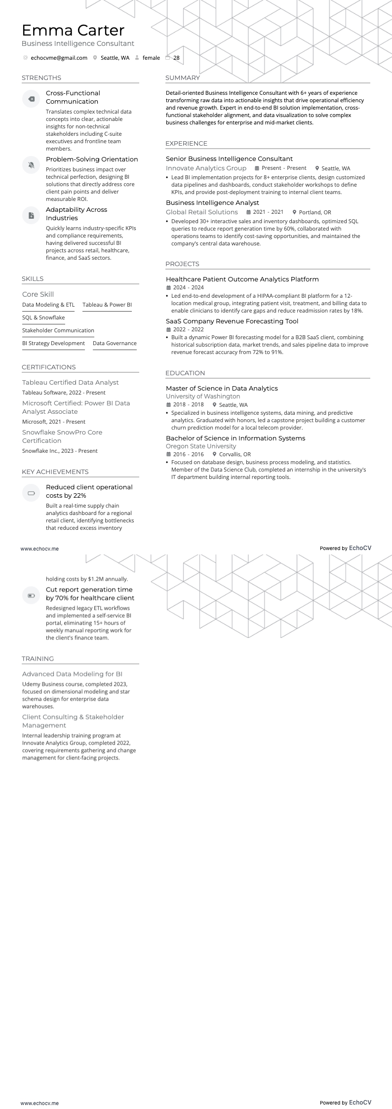 Business Intelligence Consultant example resume