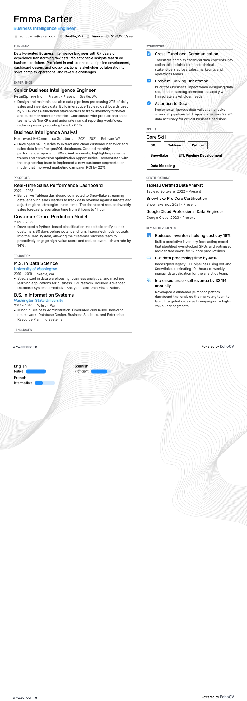 Business Intelligence resume example