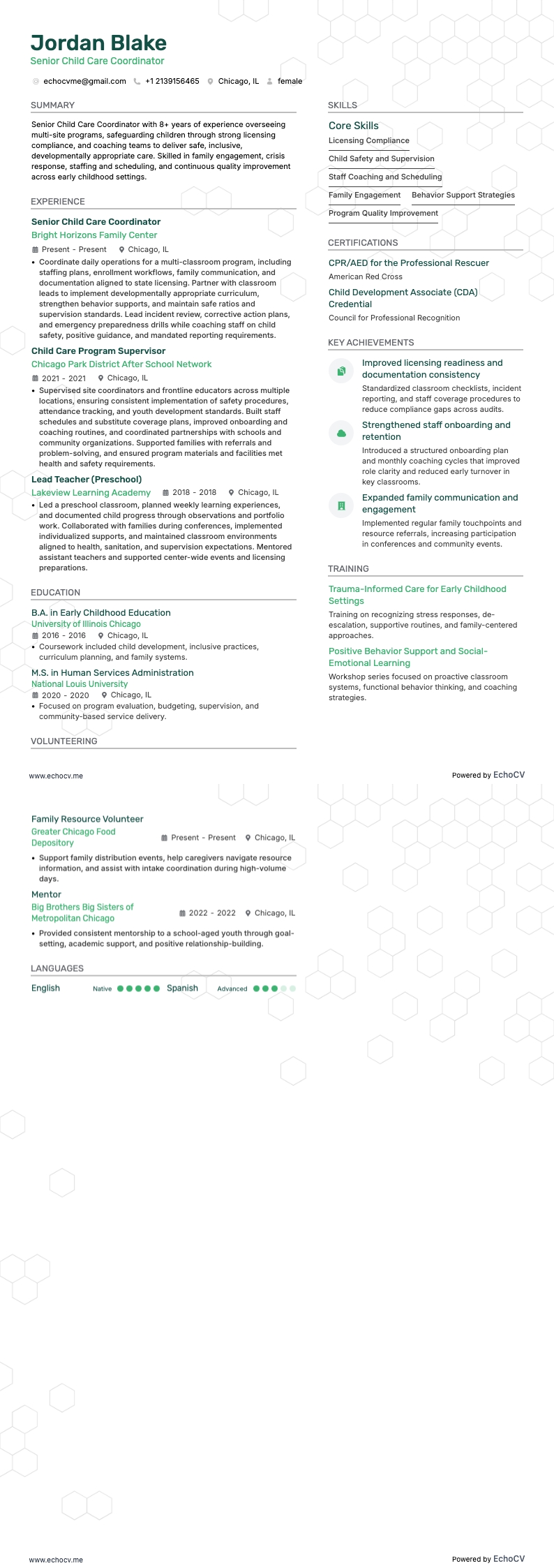 수석 아동 돌봄 코디네이터 example resume