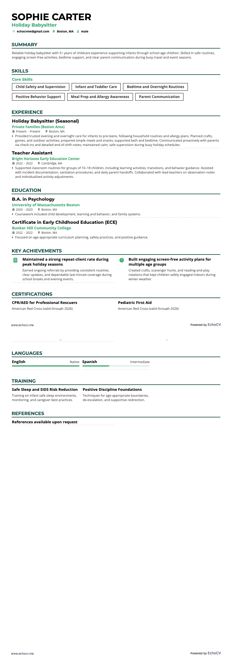 Holiday Babysitter example resume