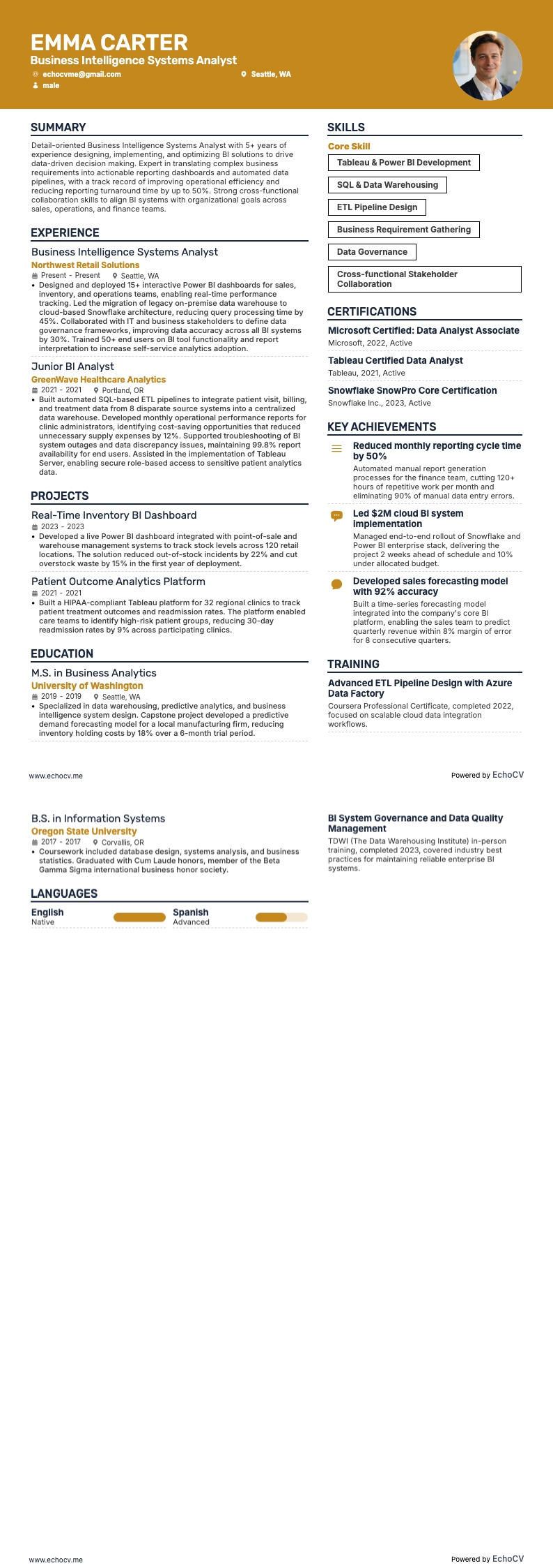 Business Intelligence Systems Analyst example resume