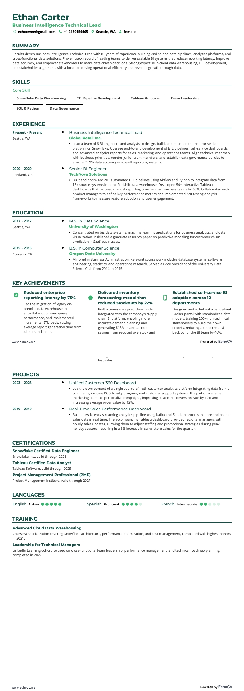 Business Intelligence Technical Lead example resume