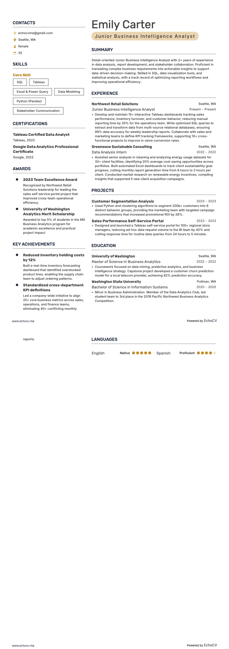 Junior Business Intelligence Analyst full preview