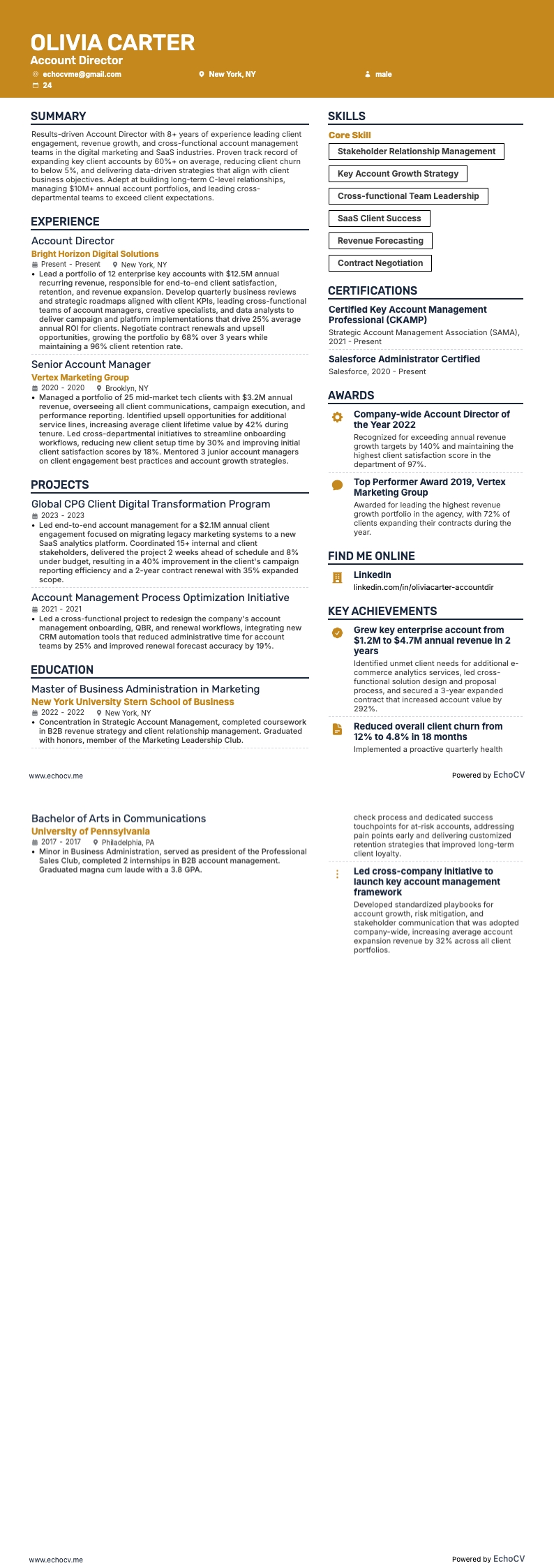 Kundenbetreuungsdirektor example resume