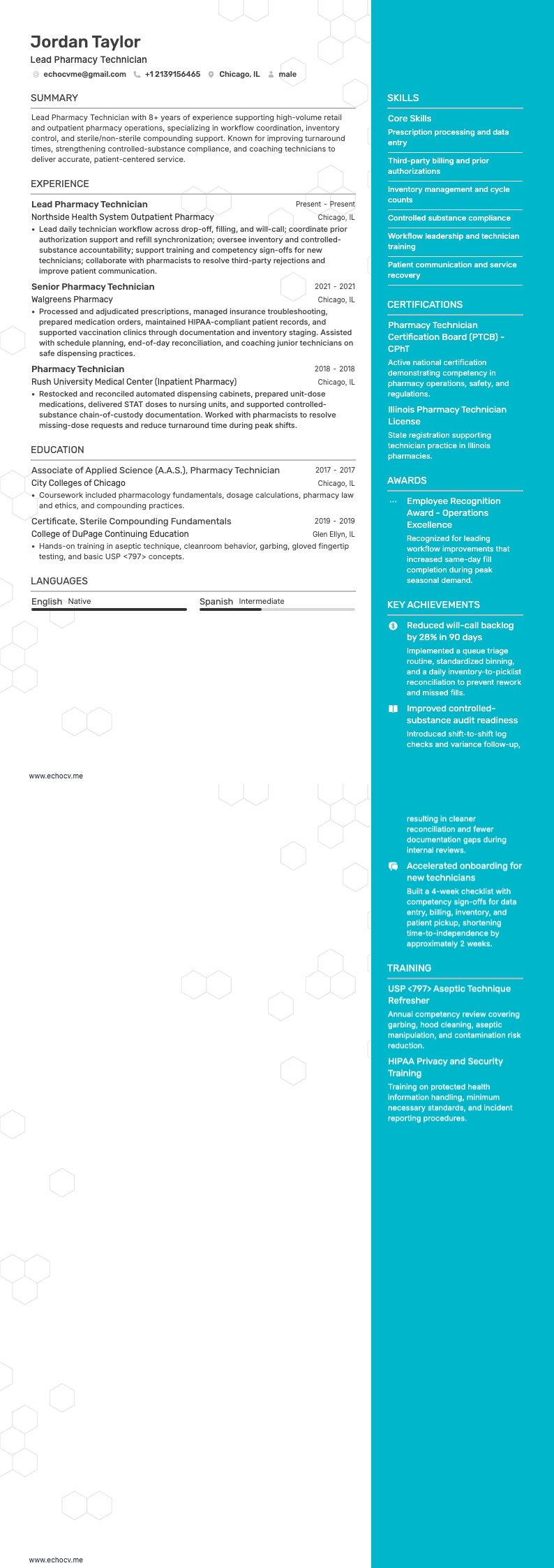 主任薬局技師 example resume