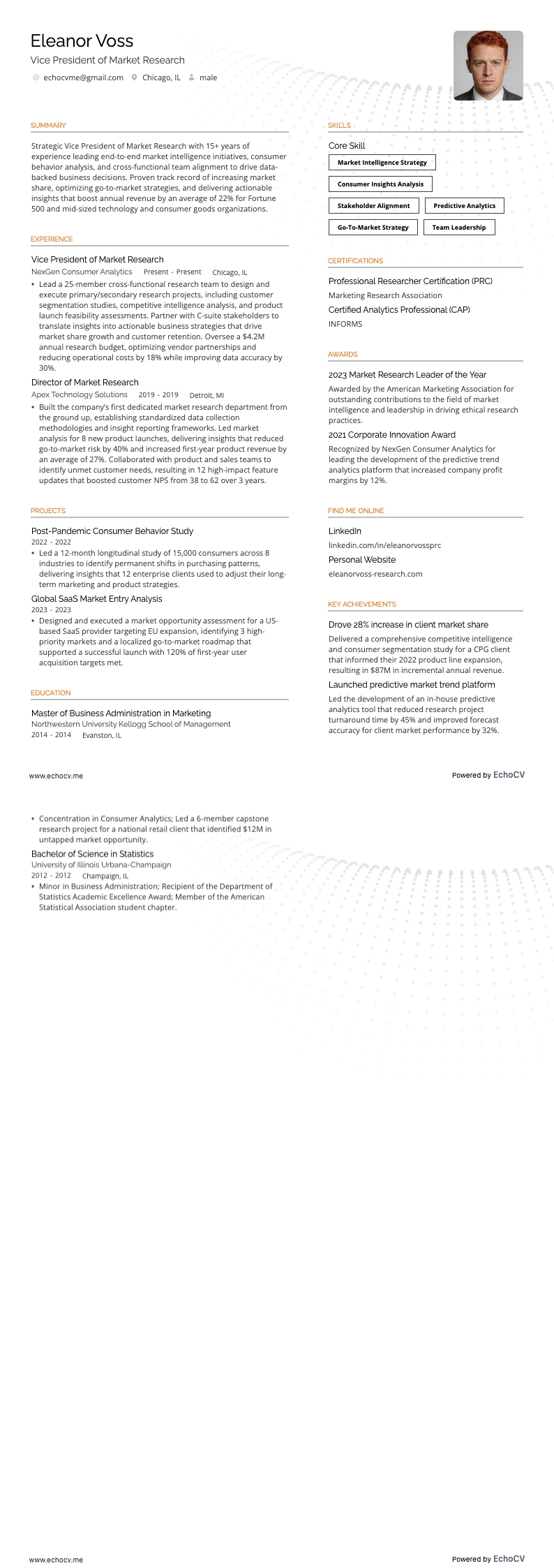 Vice President of Market Research example resume