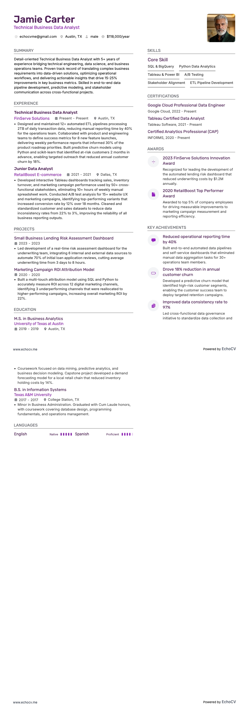 Technical Business Data Analyst example resume