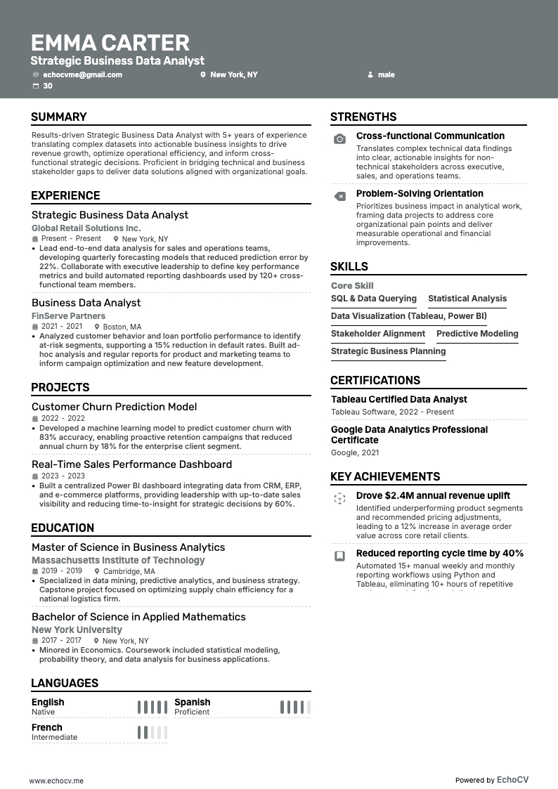 ビジネスデータアナリスト resume example