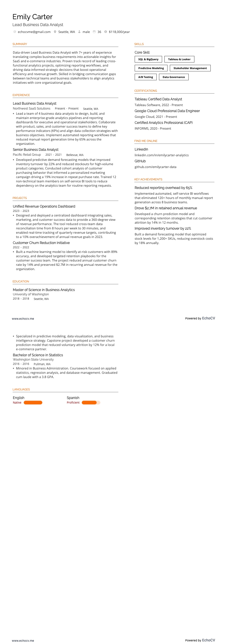 Lead Business Data Analyst example resume