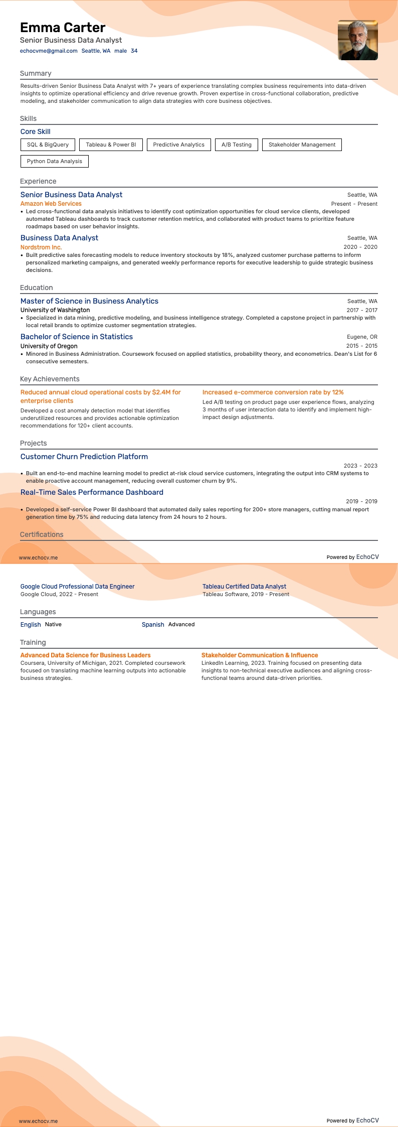 Business Data Analyst resume example