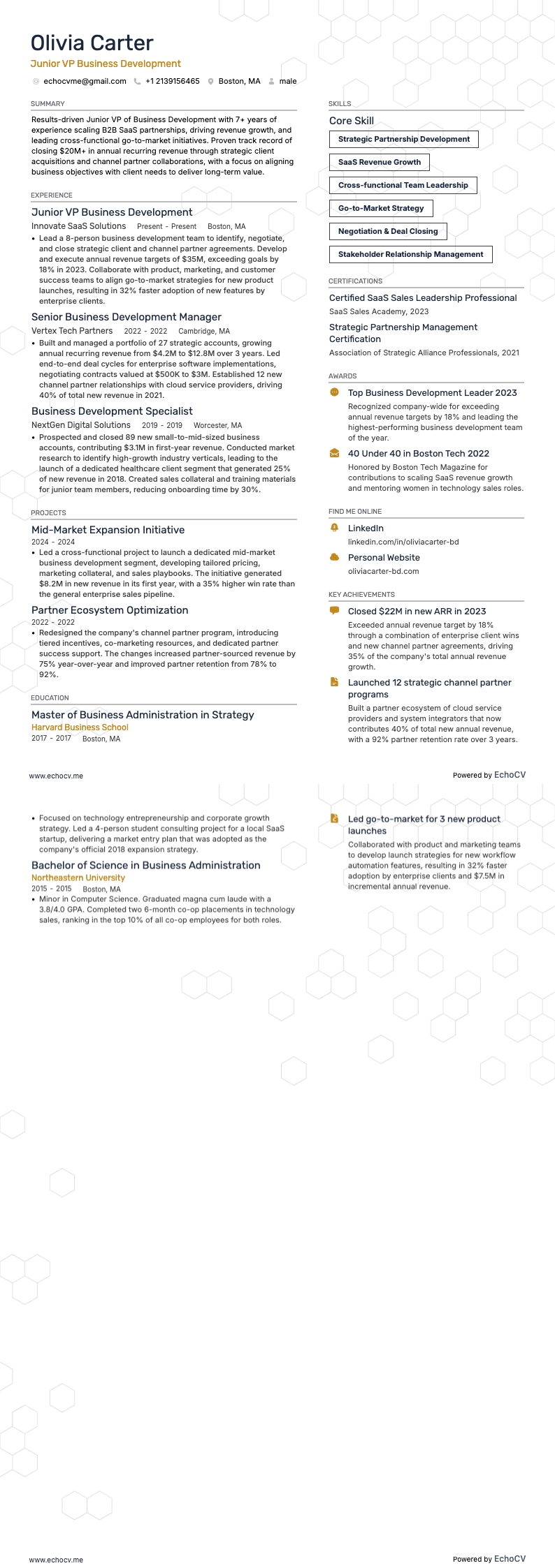 Junior VP Business Development example resume