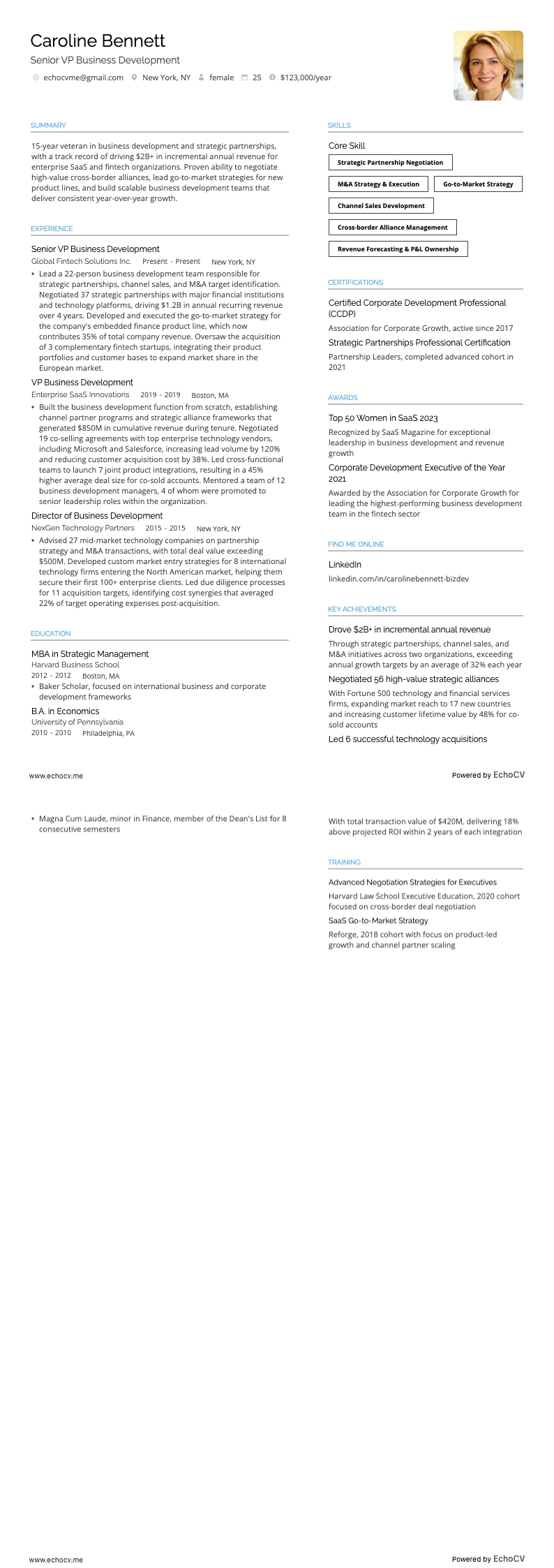 Senior VP Business Development example resume