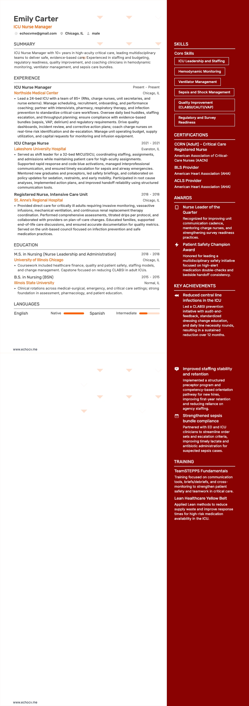 ICU Nurse Manager full preview