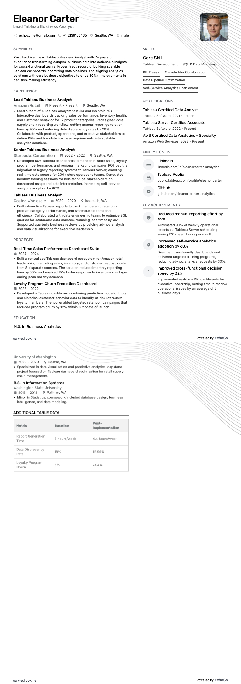Lead Tableau Business Analyst example resume