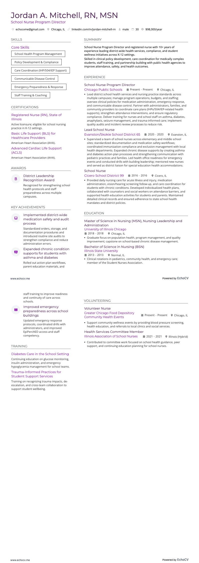 School Nurse Program Director example resume