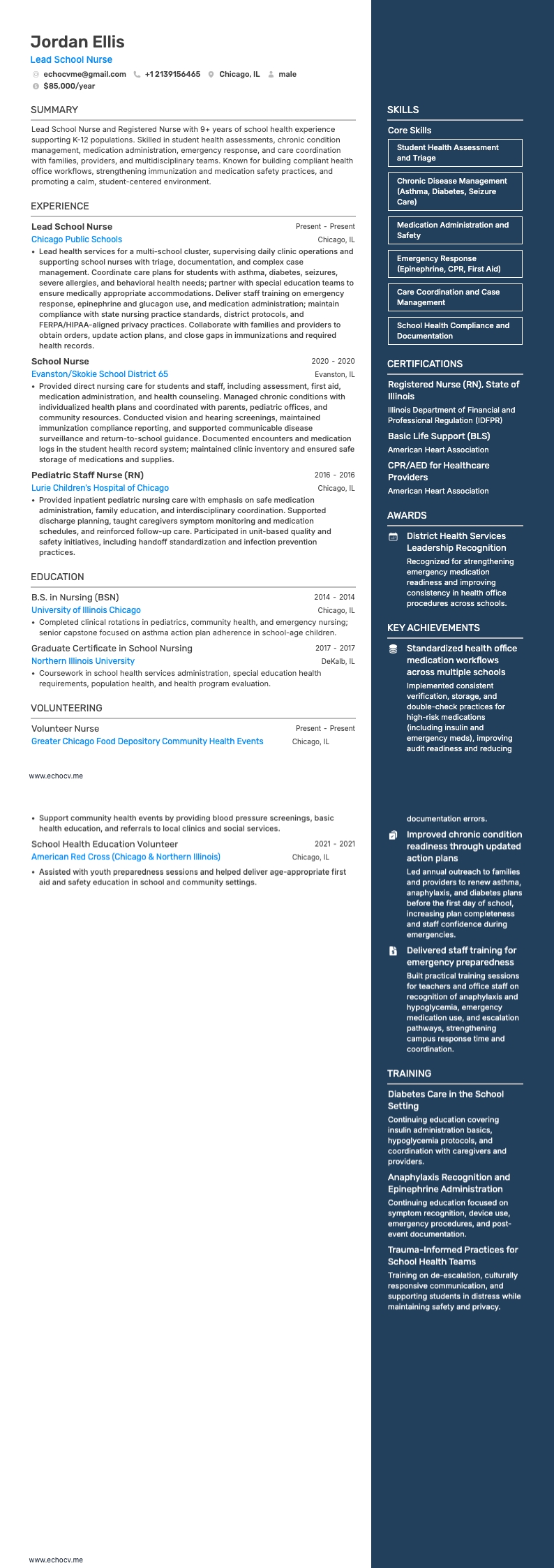 Lead School Nurse example resume