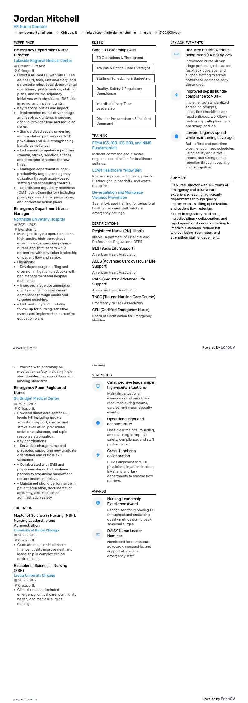 ER Nurse Director example resume