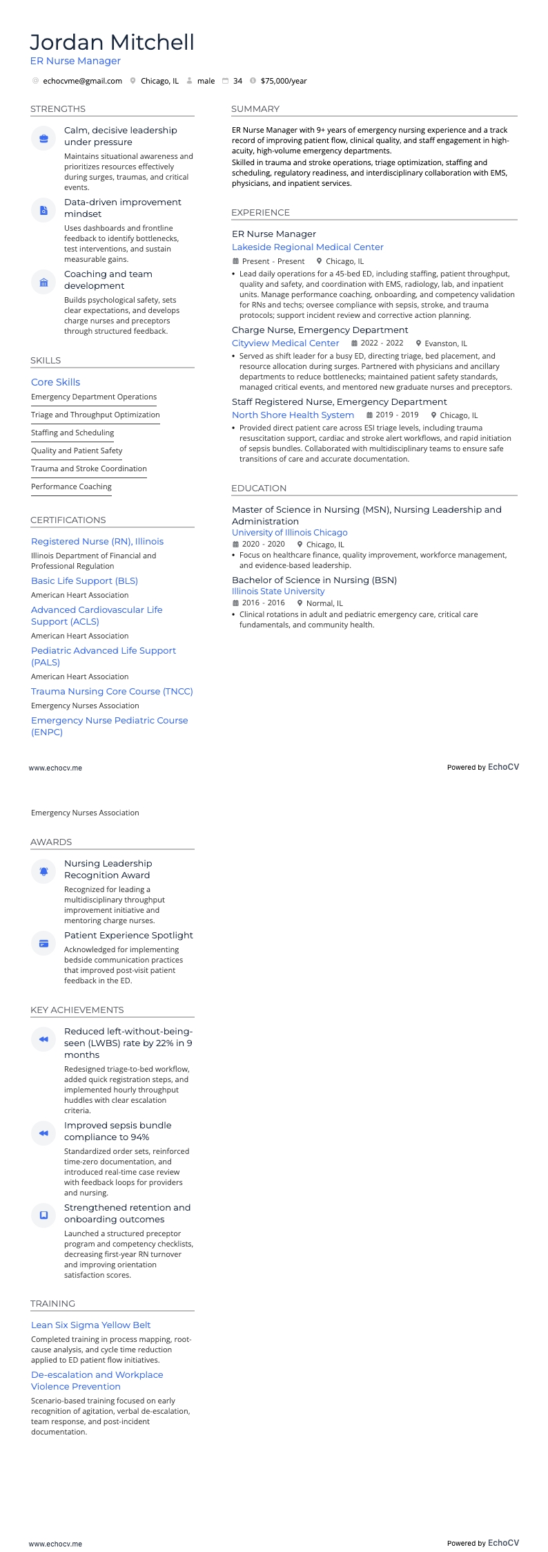 ER Nurse Manager example resume