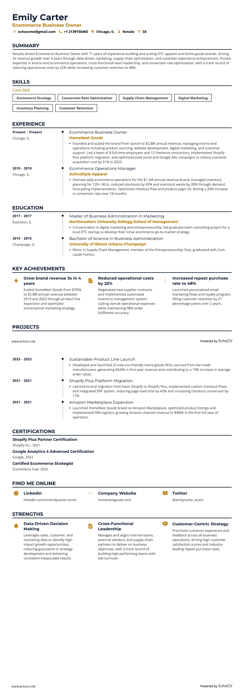 Ägare av e-handelsföretag example resume