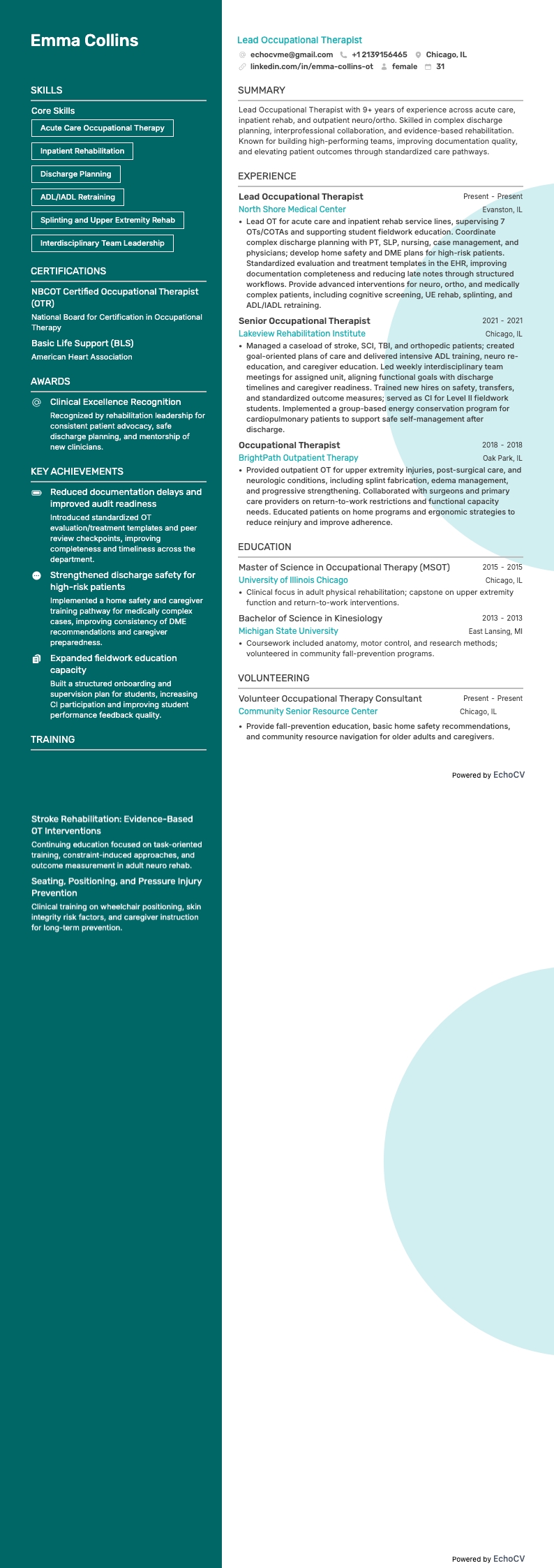 Lead Occupational Therapist example resume