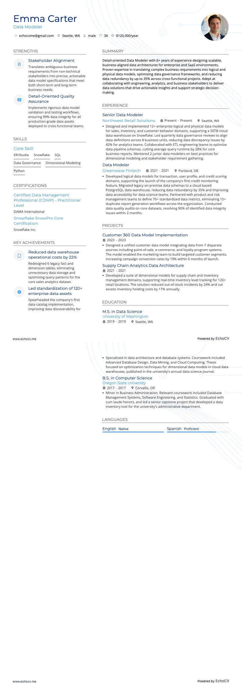 データモデラー example resume