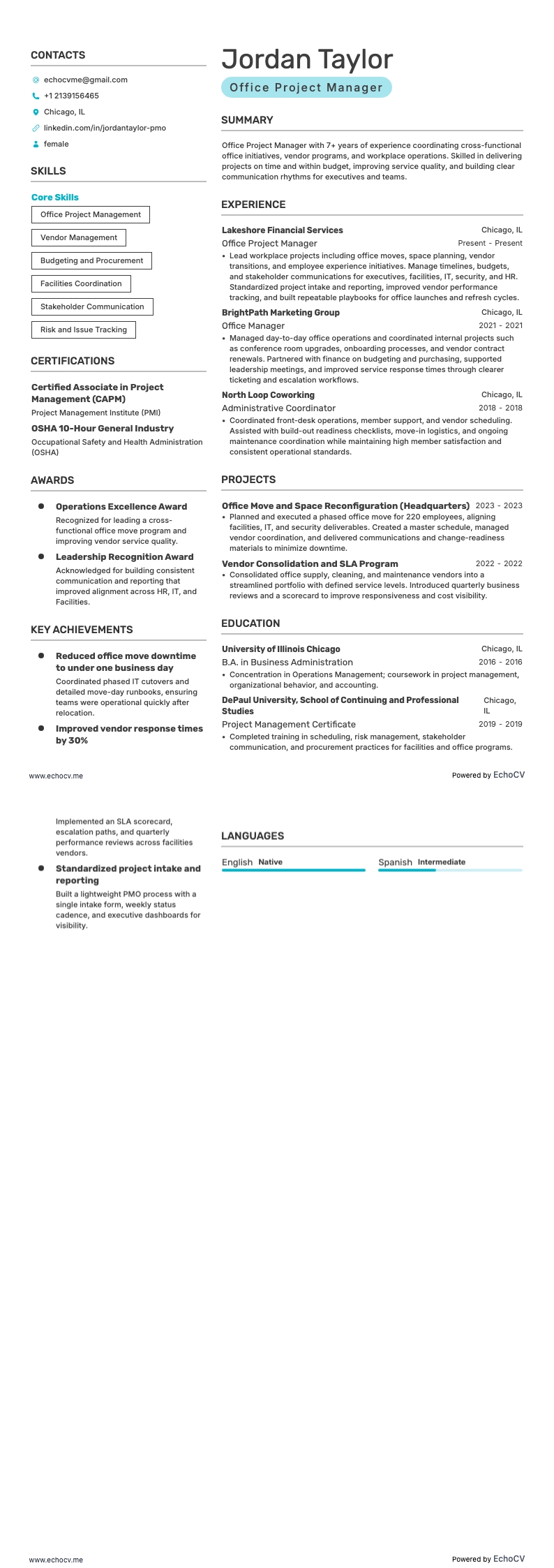 Office Project Manager example resume