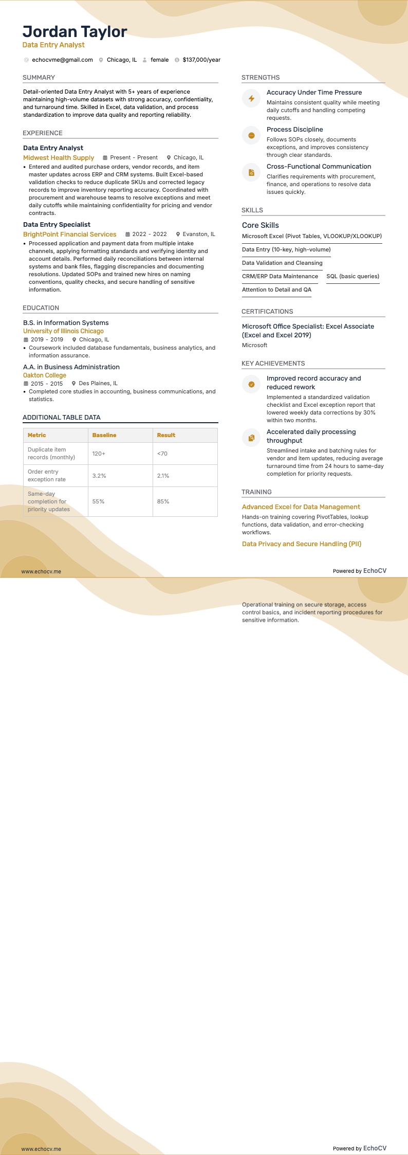 データ入力アナリスト example resume