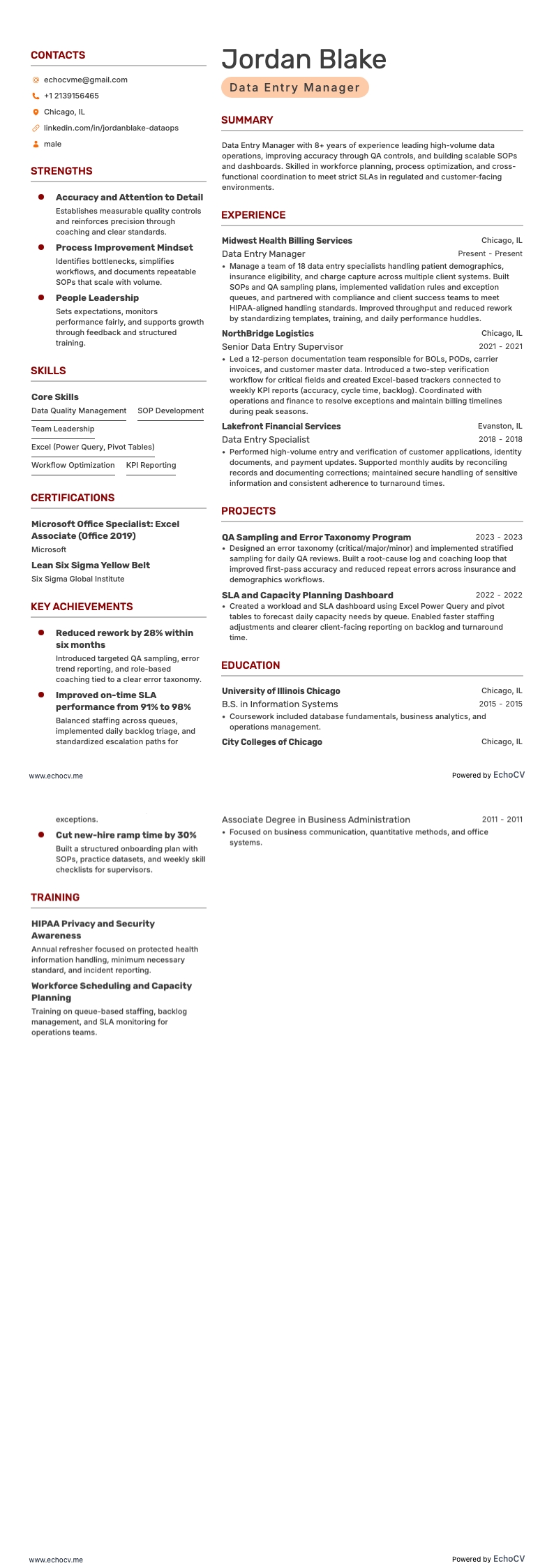 データ入力マネージャー resume example