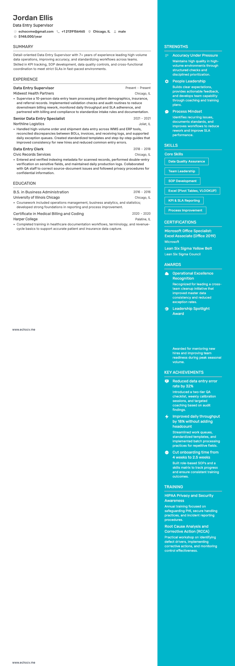 データ入力スーパーバイザー example resume