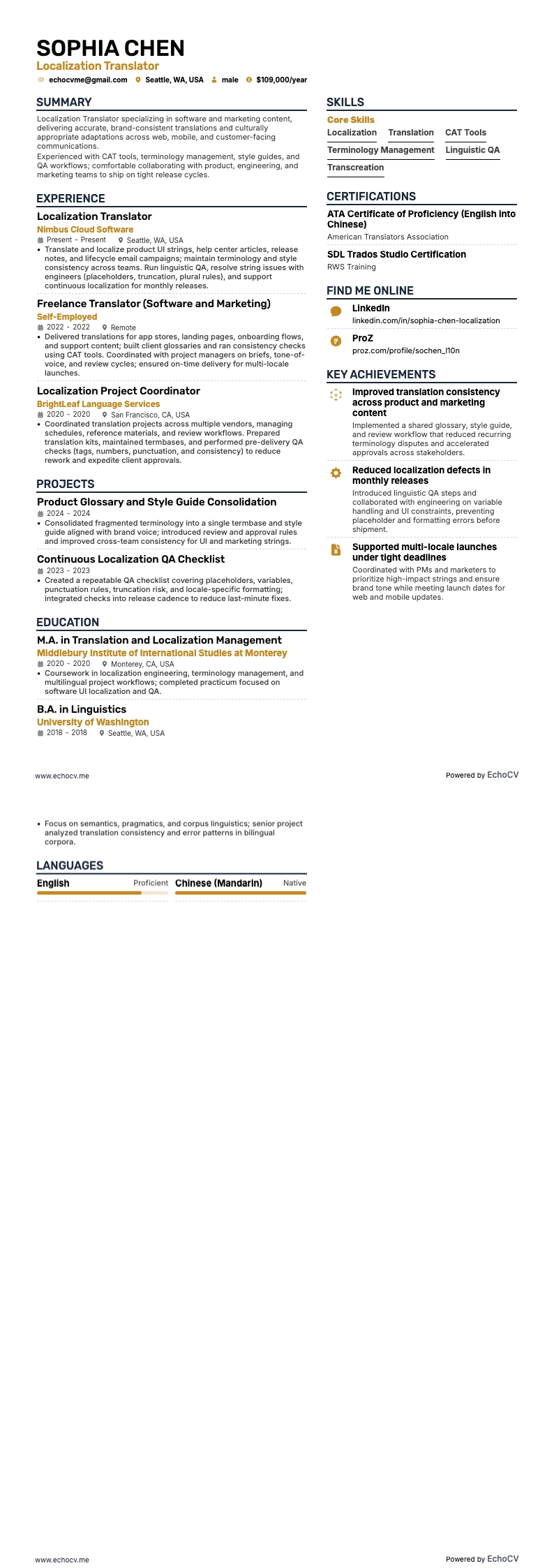 Localization Translator example resume