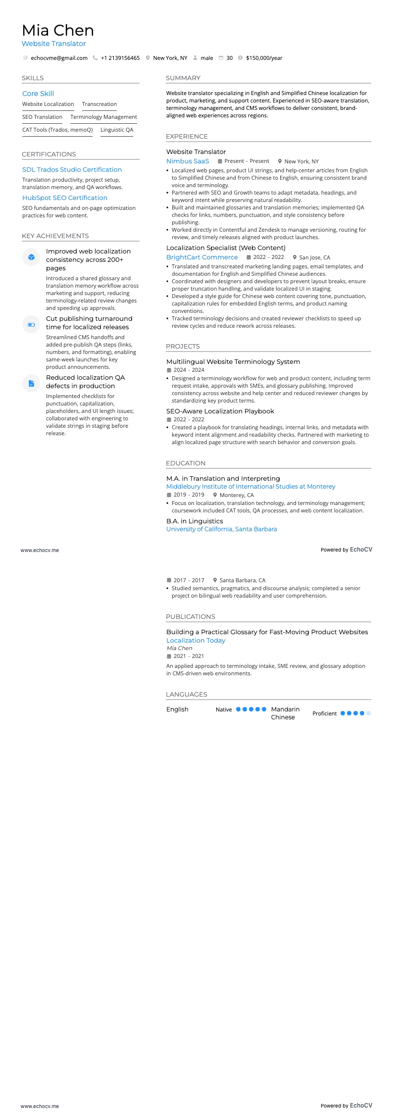 Website Translator example resume