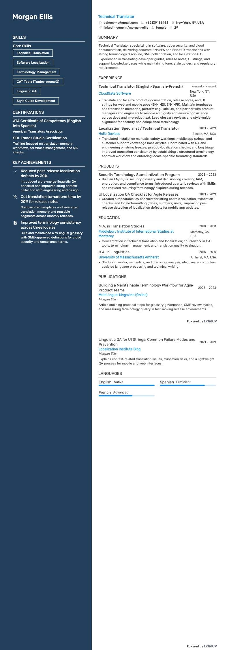 Technical Translator example resume