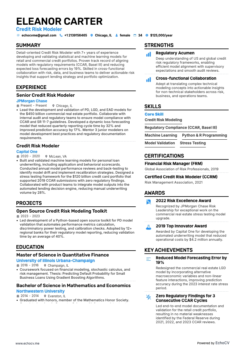 信用リスクモデラー example resume