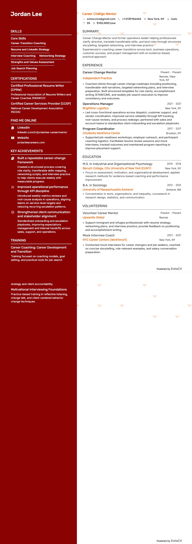 Career Change Mentor example resume