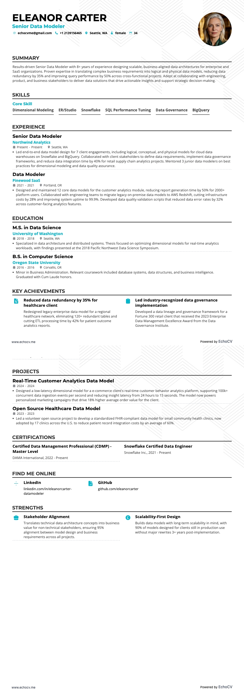 シニアデータモデラー example resume