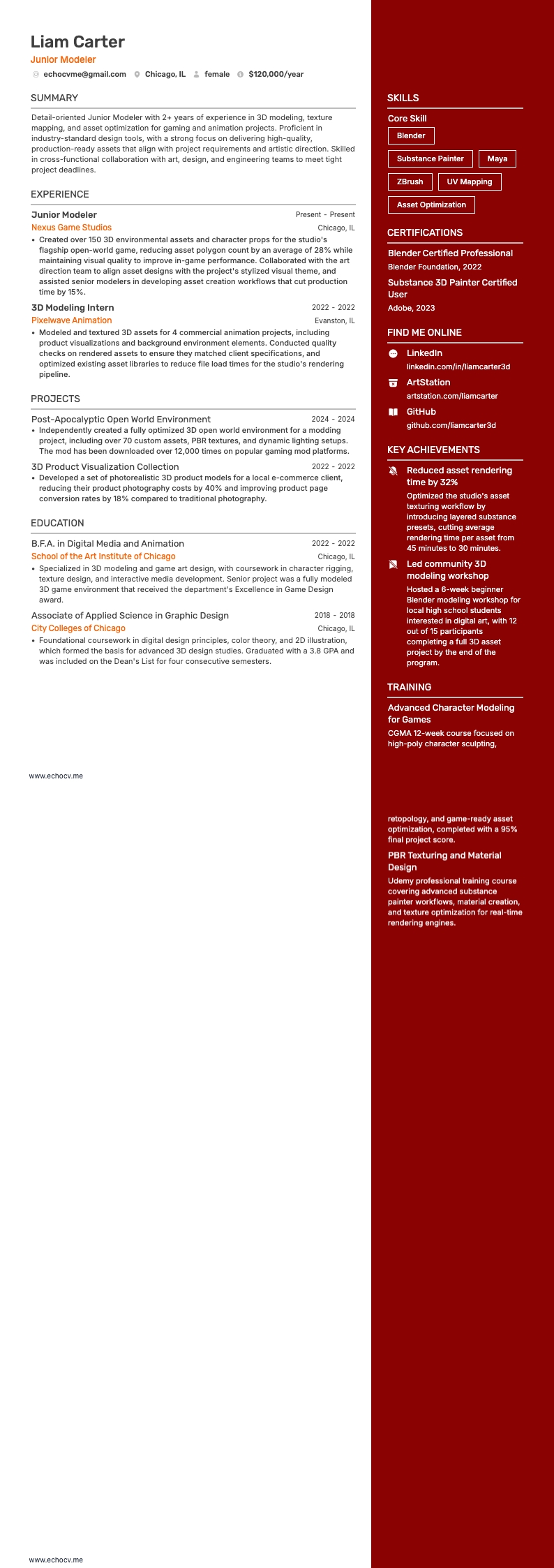 ジュニアモデラー example resume