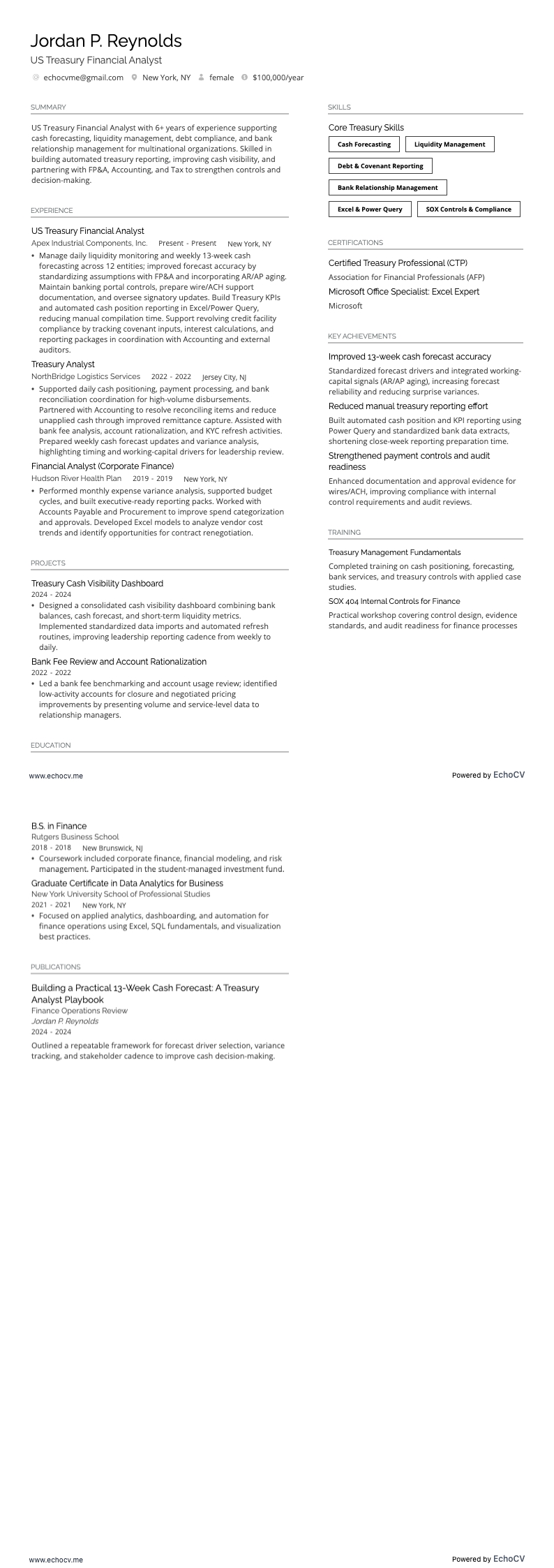 US Treasury Financial Analyst example resume
