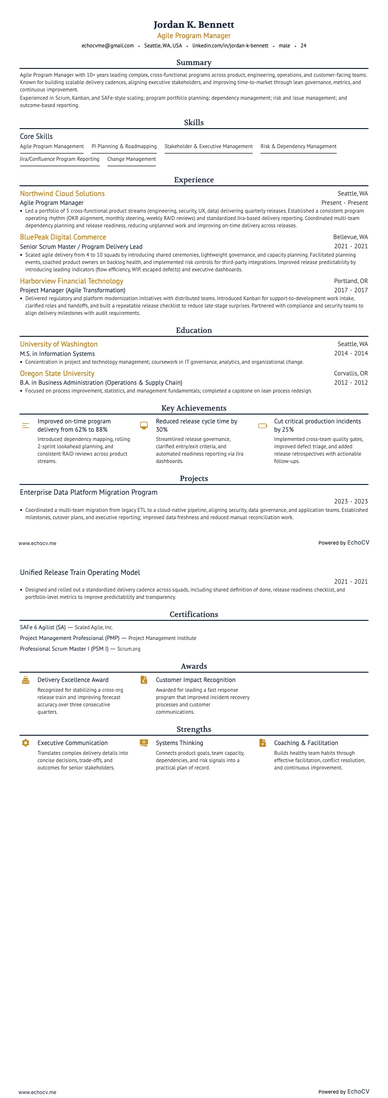 Agile Program Manager example resume