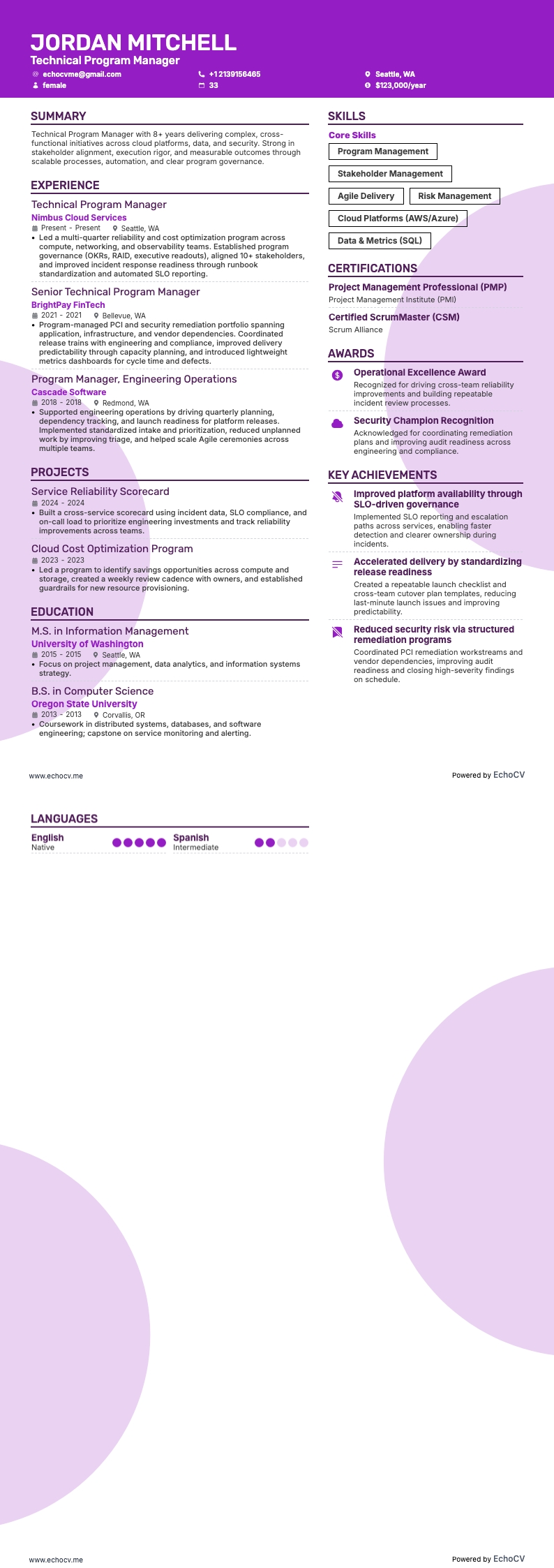 Technical Program Manager example resume