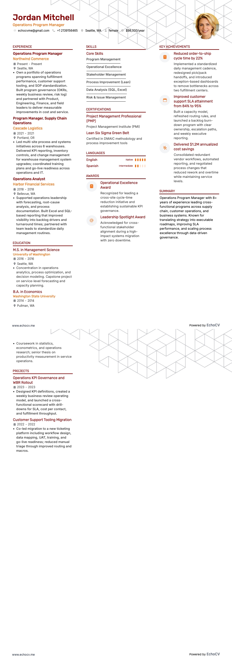 Operations Program Manager example resume