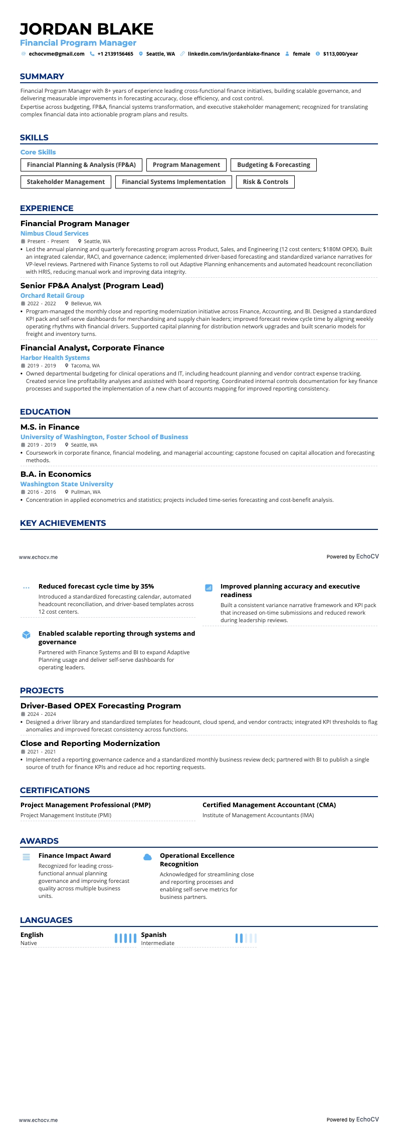 Financial Program Manager example resume