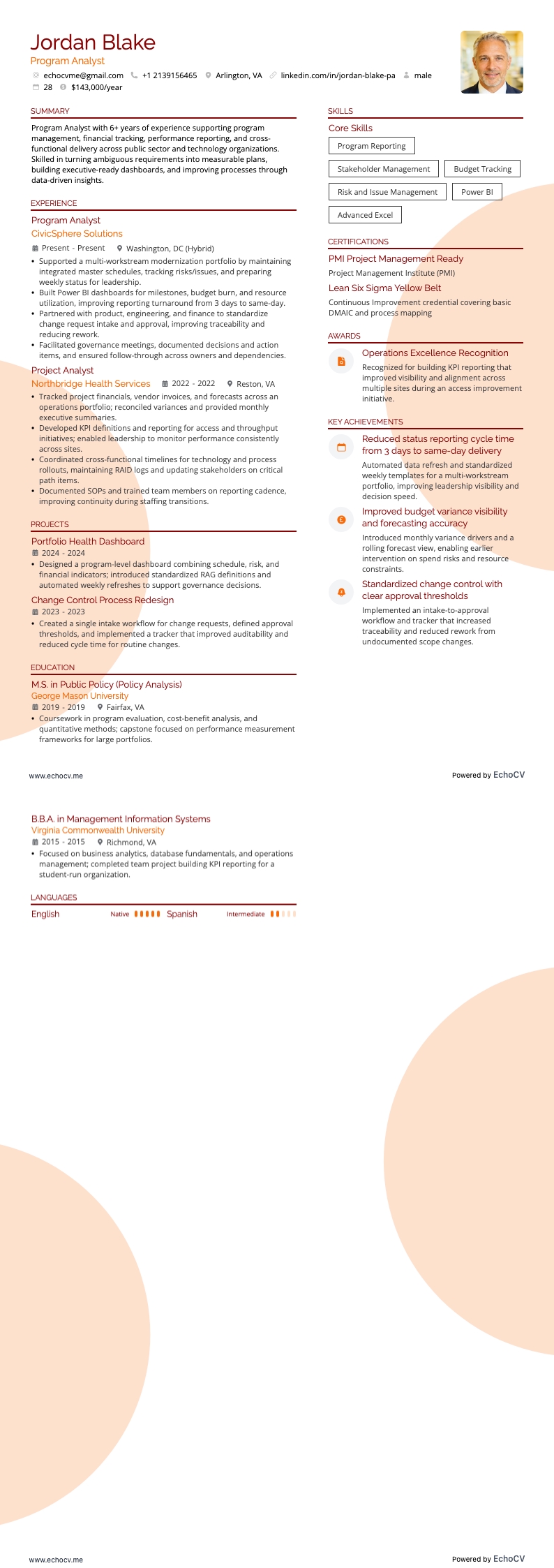 Program Analyst example resume