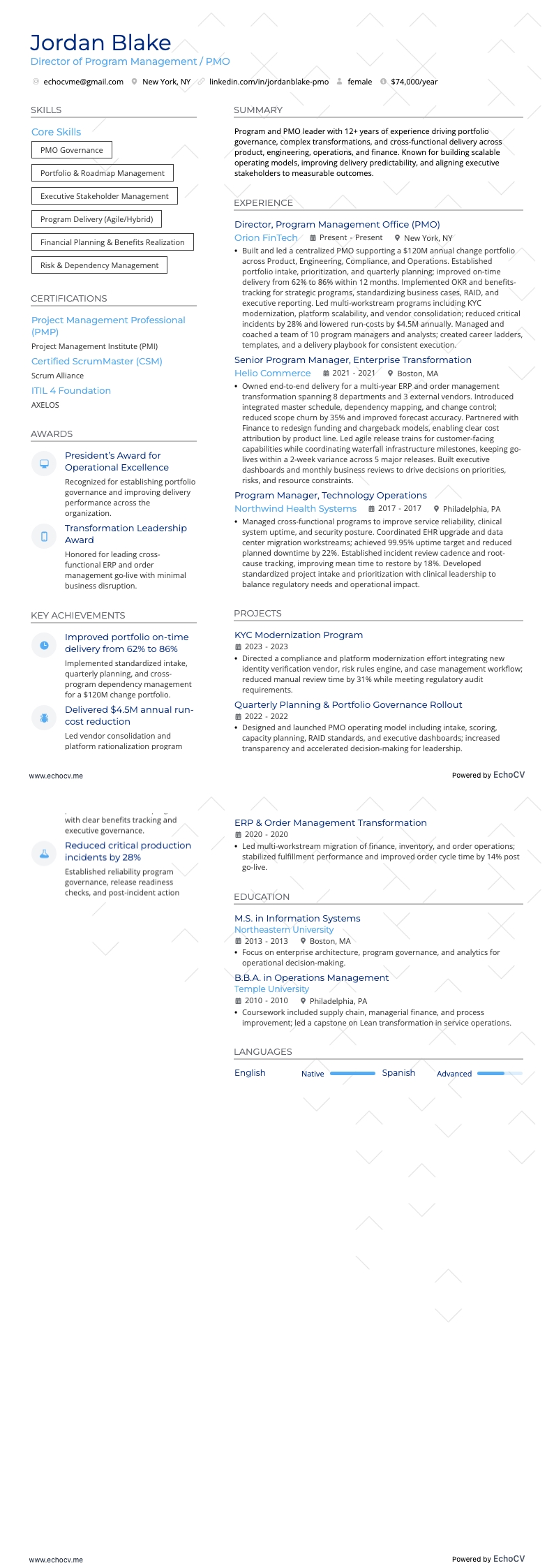 Director of Program Management / PMO full preview